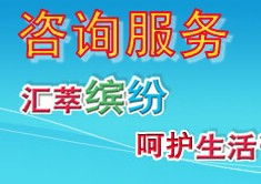 信息咨詢服務 定義、流程與核心價值