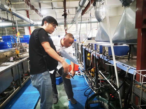 規范廠中廠，服務小微園 樂清翁垟街道多措并舉繃緊企業生產安全弦
